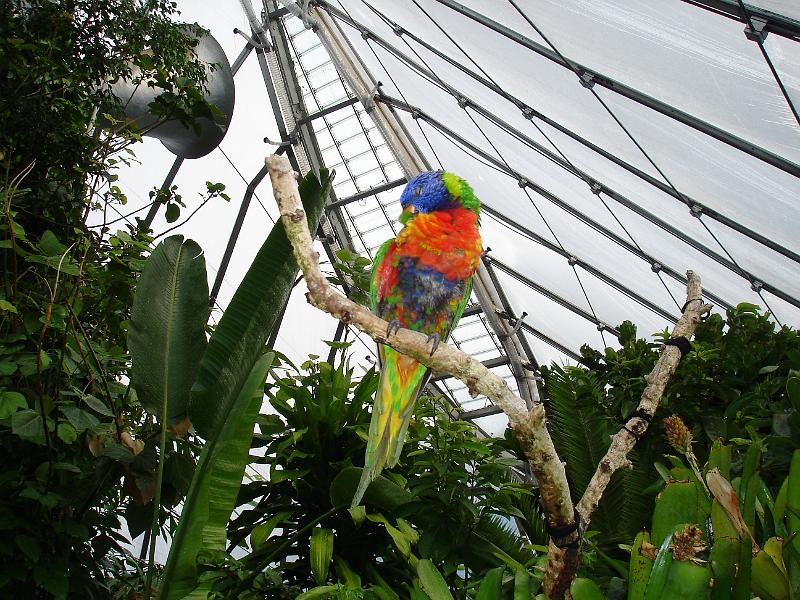DSC06731.JPG
