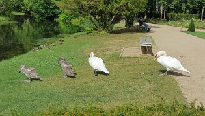 20200728_102359.jpg