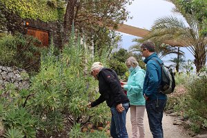 IMG_6332 Besuch auf der Insel Brissago