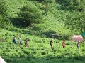 IMG_2132