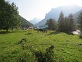 IMG_2134