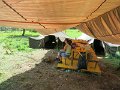 IMG_2137