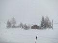 IMG_1646