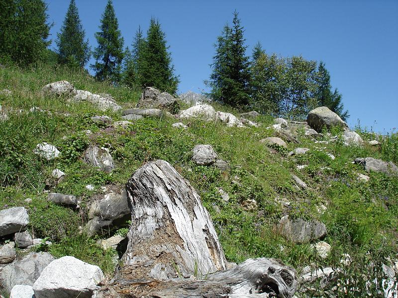 DSC04526.JPG - Zwischenhalt im Bedretto Tal